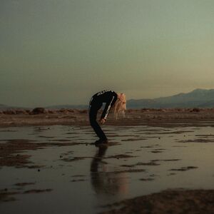 Copycat Killer , Phoebe Bridgers