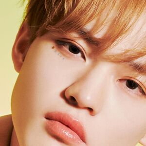 Moonlight - Chenle Version [Import]