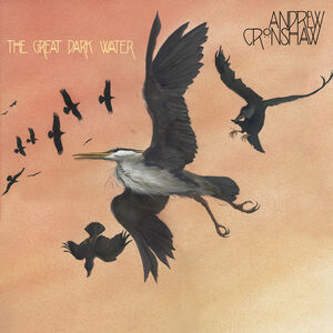 The Great Dark Water , Andrew Cronshaw