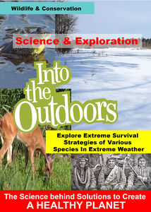 Explore Extreme Survival Strategies of Various Species In Extreme Weather