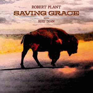 Saving Grace , Robert Plant