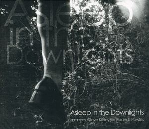 Asleep in the Downlights
