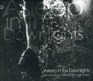 Asleep in the Downlights , Hammock
