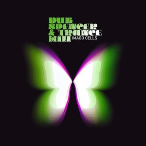 Imago Cells , Dub Spencer & Trance Hill