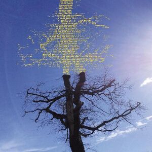 Rooting For Love , Laetitia Sadier