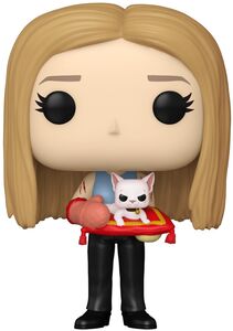 FUNKO POP! Television: Friends - Rachel Green 