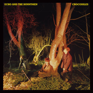 Crocodiles , Echo & the Bunnymen