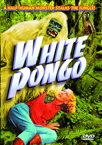 White Pongo