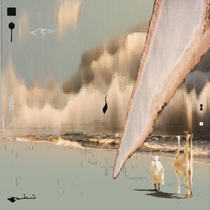 Chott (DELUXE EDITION, CLEAR VINYL) , Taroug
