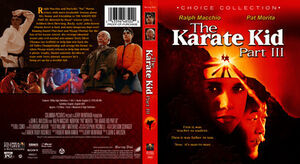 The Karate Kid Part III , Ralph Macchio