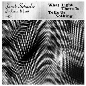 What Light There Is Tells Us Nothing