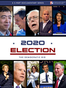 2020: The Democratic Bid