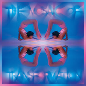 Mosaic Of Transformation (Clear Vinyl)