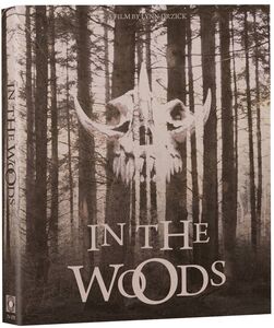 In The Woods , DJ Perry