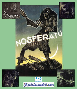 Nosferatu /  Terror of Dracula