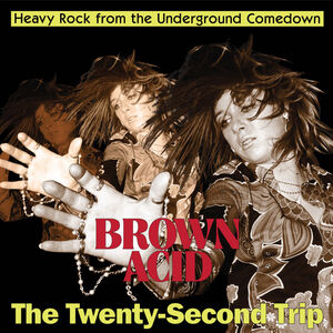 Brown Acid - The Twenty-Second Trip (Various Artists) , Various Artists