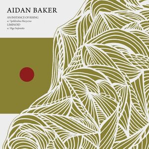 An Instance of Rising /  Liminoid , Aidan Baker