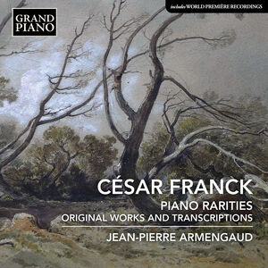 Piano Rarities , Jean-Pierre Armengaud
