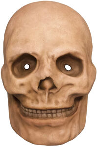 Trick or Treat Studios - Original - Catacomb Skull Plastic Mask 