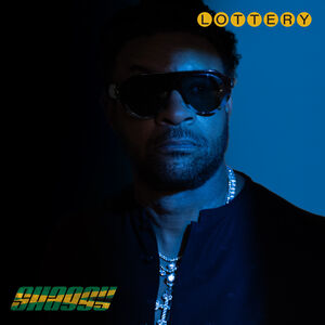 Lottery , Shaggy