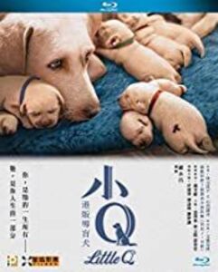 Little Q (2019) [Import]