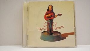Cozy [Import] , Tatsuro Yamashita
