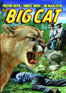 The Big Cat