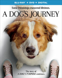 A Dog's Journey