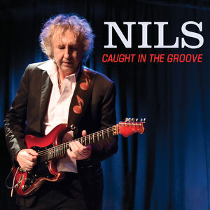 Caught In The Groove , The Nils