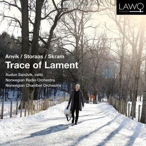 Trace of Lament , Audun Sandvik