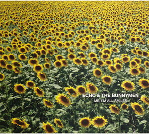 Me I'm All Smiles , Echo & the Bunnymen