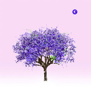 Tomorrow Morning , Eels