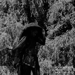 Analog Fluids Of Sonic Black Holes , Moor Mother