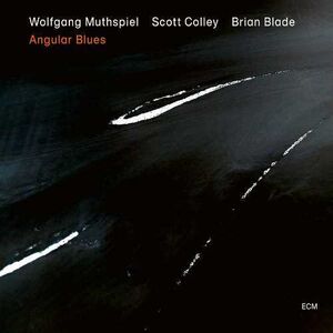 Angular Blues , Wolfgang Muthspiel