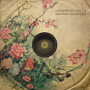 Landwerk No. 3 , Nathan Salsburg