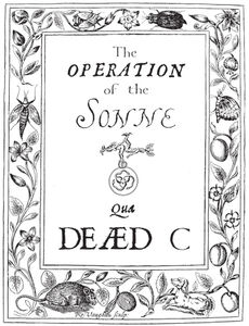 Operation Of The Sonne