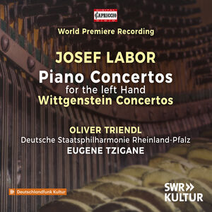 Left Hand Piano Concertos Wittgenstein Concertos , Oliver Triendl