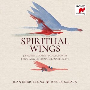 Spiritual Wings [Import] , Joan Enric Lluna