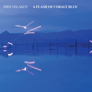 A Flash of Cobalt Blue