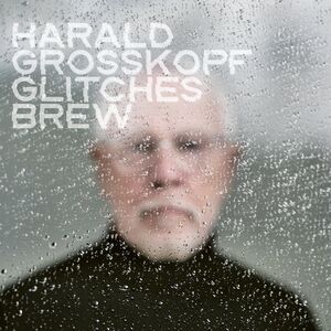 Glitches Brew , Harald Grosskopf
