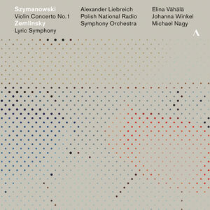 Violin Concerto 1 /  Lyric Symphony
