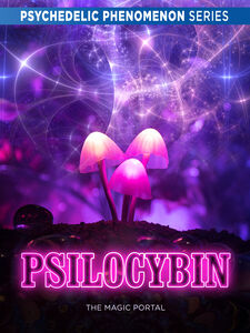 Psilocybin: The Magic Portal