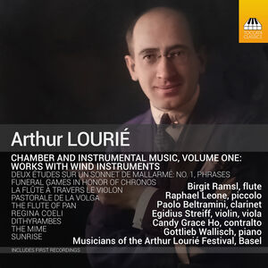 V1: Chamber & Instrumental , Gottlieb Wallisch