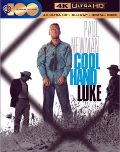 Cool Hand Luke , Paul Newman