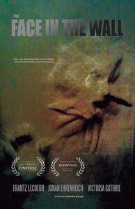 The Face In The Wall