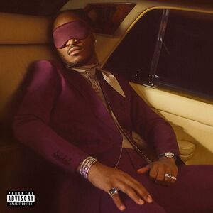 I Never Liked You , Future