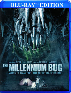 The Millennium Bug