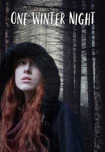 One Winter Night