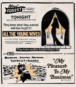 All the Young Wives /  My Pleasure Is My Business (Drive-In Double   Feature #21)