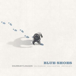 Blue Shoes , Sigurdur Flosason